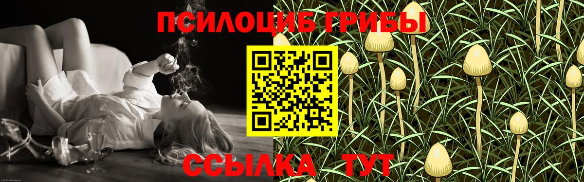 Галлюциногенные грибы Cubensis Северобайкальск