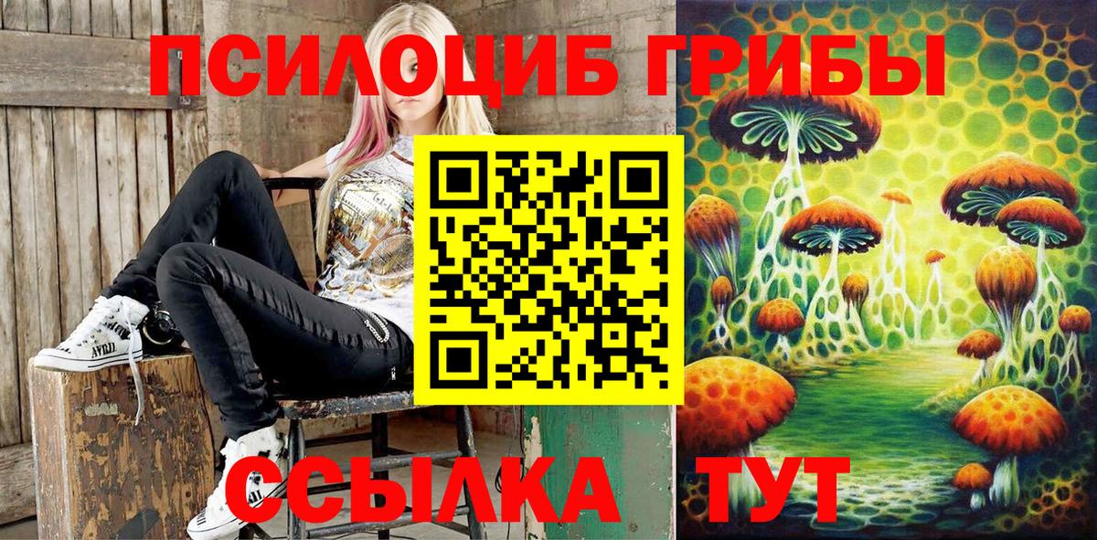 Галлюциногенные грибы Psilocybe Северобайкальск