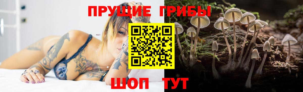 Галлюциногенные грибы Cubensis  Северобайкальск 