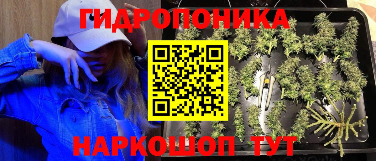Шишки марихуана гибрид Северобайкальск